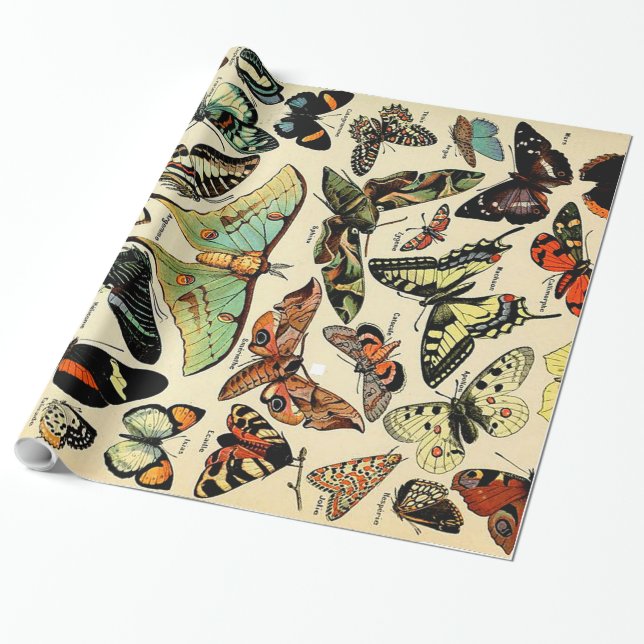 Adolphe Millot Papillons-Wrapapier Geschenkpapier (Ungerollt)