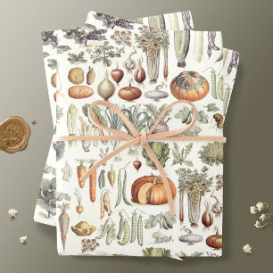 Adolphe Millot Pflanzenmuster Umhüllungspapier Geschenkpapier Set