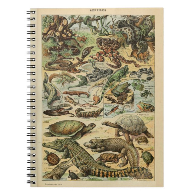Adolphe Millot Reptile Muster Notebook Notizblock (Vorderseite)