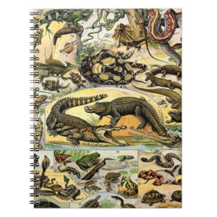 Adolphe Millot Reptiles 1 Notebook Notizblock