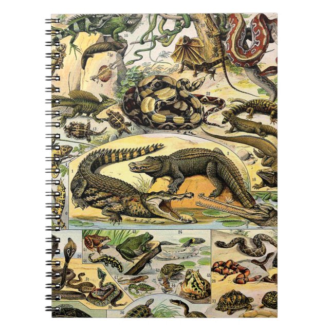Adolphe Millot Reptiles 1 Notebook Notizblock (Vorderseite)