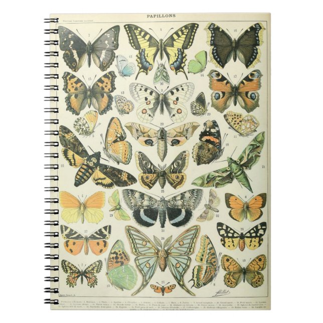 Adolphe Millot Schmetterlinge Pattern-A Notizbuch Notizblock (Vorderseite)