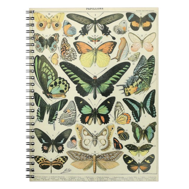 Adolphe Millot Schmetterlinge Pattern-B Notizbuch Notizblock (Vorderseite)