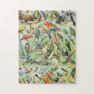 Adolphe Millot Vögel A Puzzle