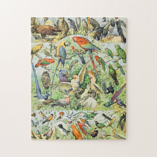 Adolphe Millot Vögel A Puzzle (Vertikal)