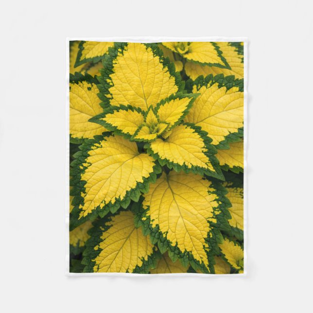 ADOM Gelbe Coleus-Blatt-Pflanzen-Decke Fleecedecke (Vorderseite)