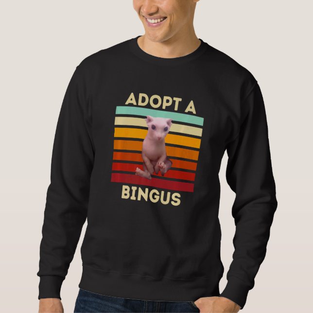 Adopt a Bingus Hairless Sphynx Cat Sweatshirt (Vorderseite)