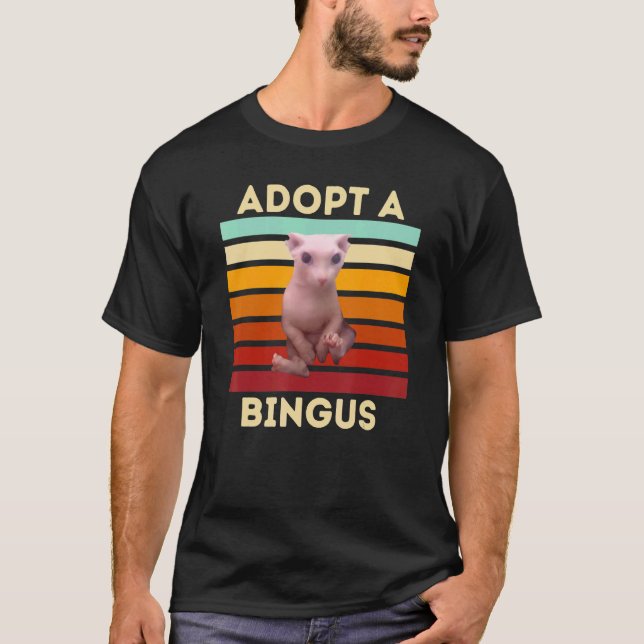 Adopt a Bingus  Hairless Sphynx Cat T-Shirt (Vorderseite)