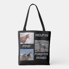 Adopt a Wild Horse