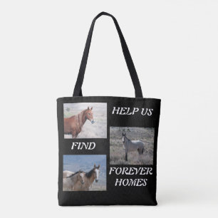 Adopt a Wild Horse