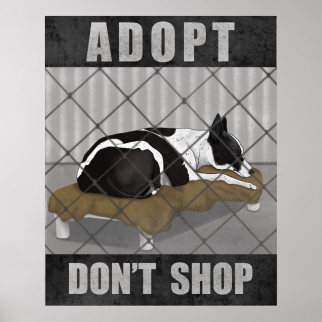 Adopt Don’t Shop Poster (Vorne)
