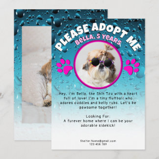 Adopt me dog custom 2 photo shelter animal rescue einladung