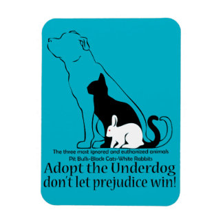 Adoptier dem Underdog.. lass keinen Vorurteilsieg! Magnet
