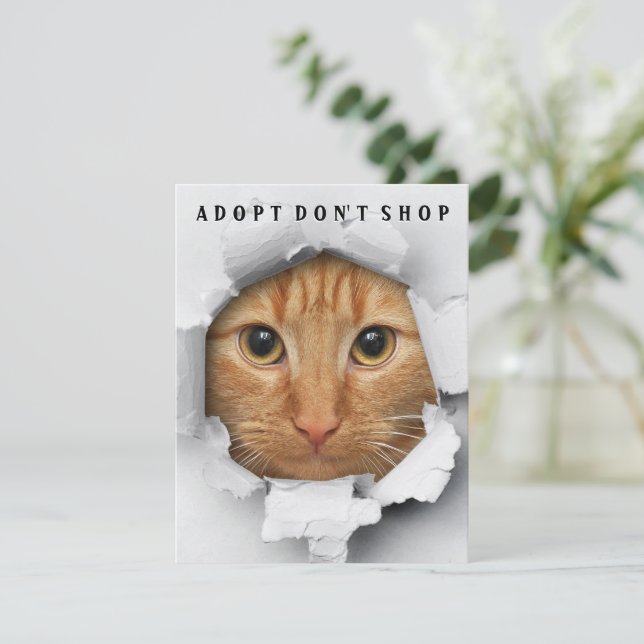 Adoptier Don't Shop Cat Awareness Flat Card Einladung (Stehend Vorderseite)
