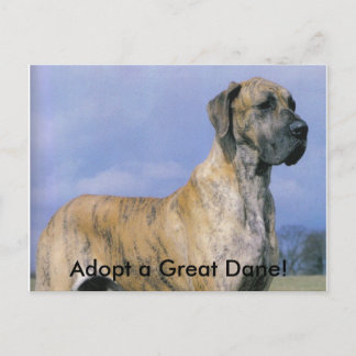 Adoptier einen großen Tank! Postkarte