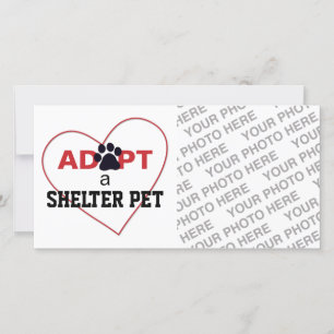 Adoptier eines Unterschlupf