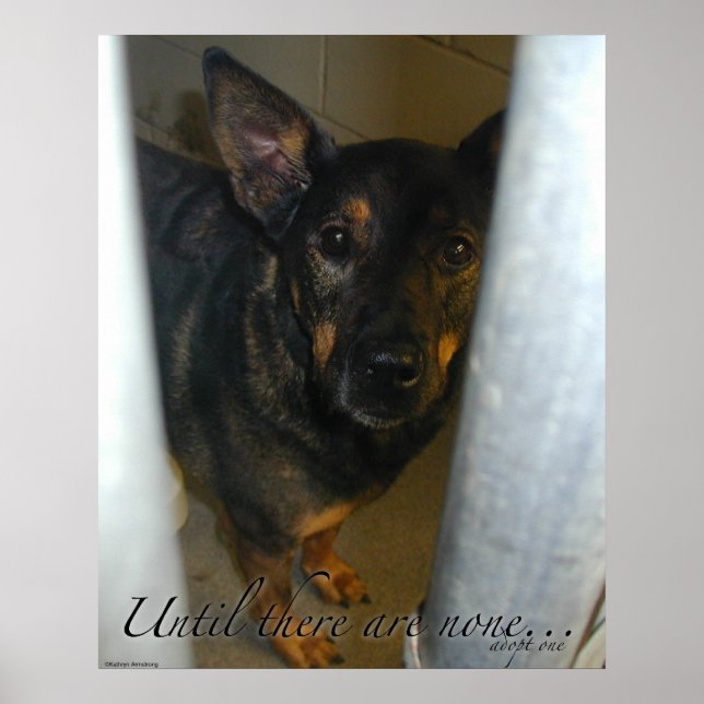 Adoptier eins! Poster (Vorne)