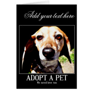 Adoptier, wir brauchen auch Liebe_
