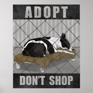 Adoptiere statt zu kaufen poster