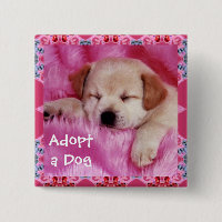 Adoptieren Sie einen Hundeknopf