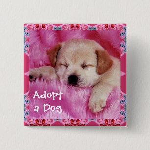 Adoptieren Sie einen Hundeknopf Button