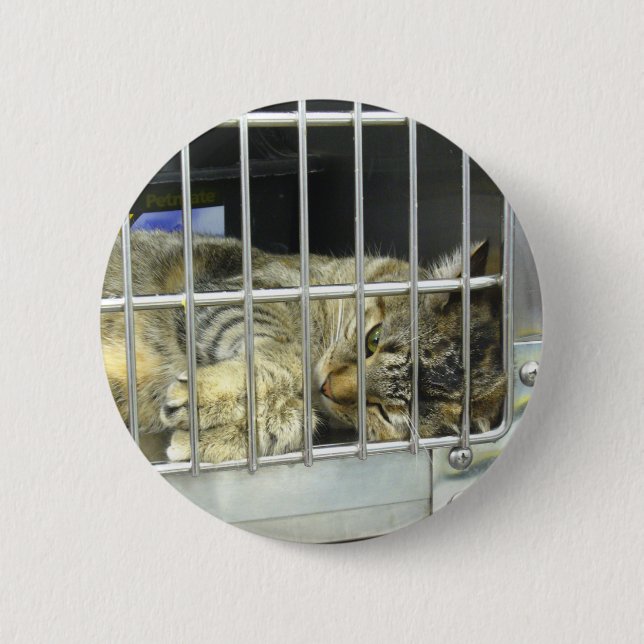 Adoptieren Sie einen Katzen-Knopf 001 Button (Vorderseite)