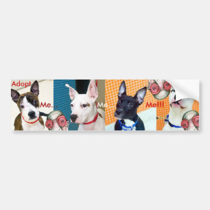 Adoptieren Sie mich… Ich… Ich!!! Autoaufkleber