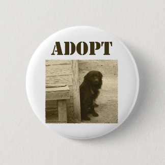 Adoptieren Sie Streuhund Button