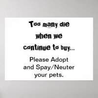 Adoptierend Haustiere Neuter Pet Überbevölkerung