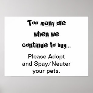 Adoptierend Haustiere Neuter Pet Überbevölkerung Poster