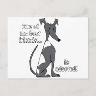 Adoptiert~BlackandWhite Postkarte