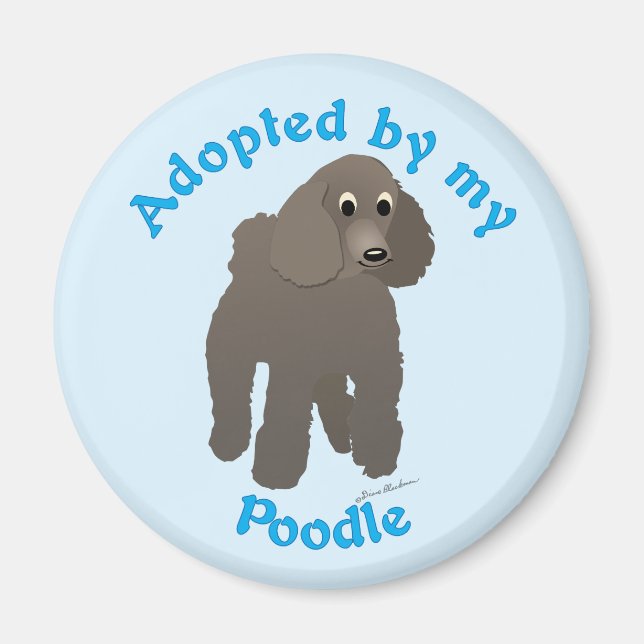 Adoptiert von meinem Poodle Magnet (Vorne)