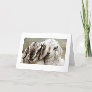 Adoption, adoptier, adoptiert, Fotografie, Karte