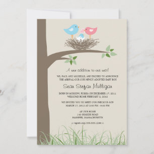 Adoption Ankündigung Baby Bird's Nest