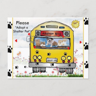 Adoption-Bus für Katzen & Hunde Postkarte