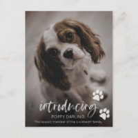 Adoption für Welpen oder Hunde, neue Ankündigung f