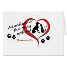 Adoption ist die einzige Option