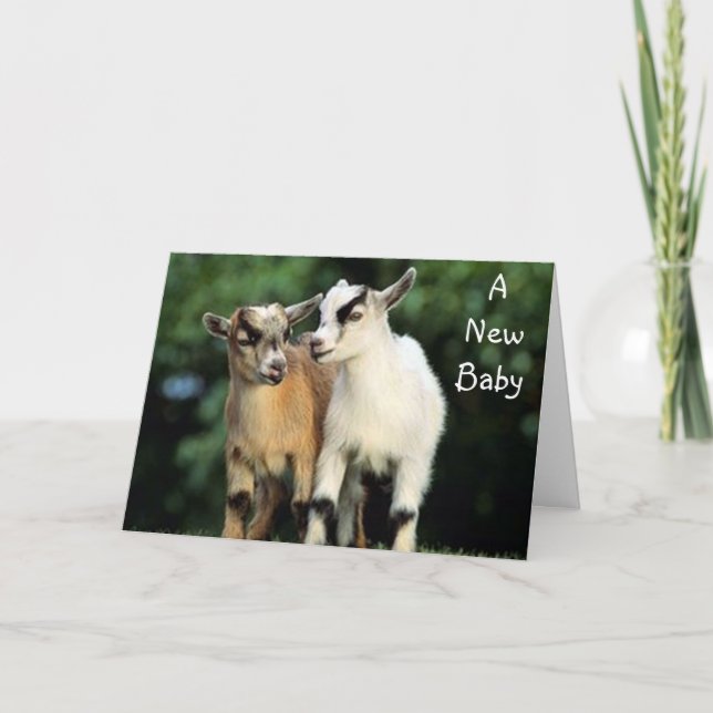 ADOPTION - KEINE KIDDIERENDEN GLÜCKWÜNSCHE! KARTE (Vorderseite)