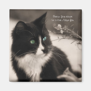 Adoption rettet Ihr Herz und Adoptiere eine Katze Magnet