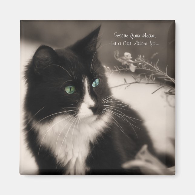 Adoption rettet Ihr Herz und Adoptiere eine Katze Magnet (Vorne)