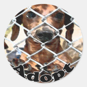 Adoption Runder Aufkleber