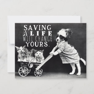 Adoption- und Rettungskarte für Hunde und Katzen Feiertagskarte