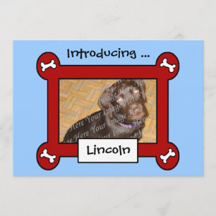 Adoption von Hunden oder Geburtsankündigungen (Rot Ankündigung