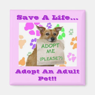 Adoptme, retten ein Leben…, adoptieren ein Magnet
