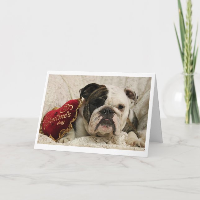 Adora-Stier Valentinstag-Karte Feiertagskarte (Vorderseite)