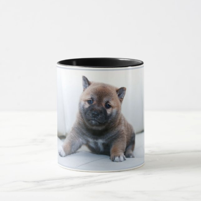 Adorable Akita Welpenhund, Kaffeetasse (Zentrum)
