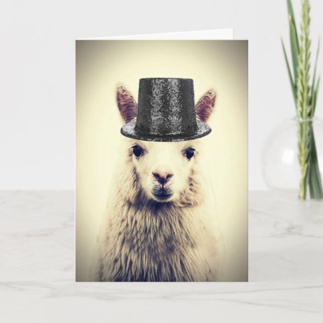 Adorable Alpaca, Geburtstag Karte (Vorderseite)