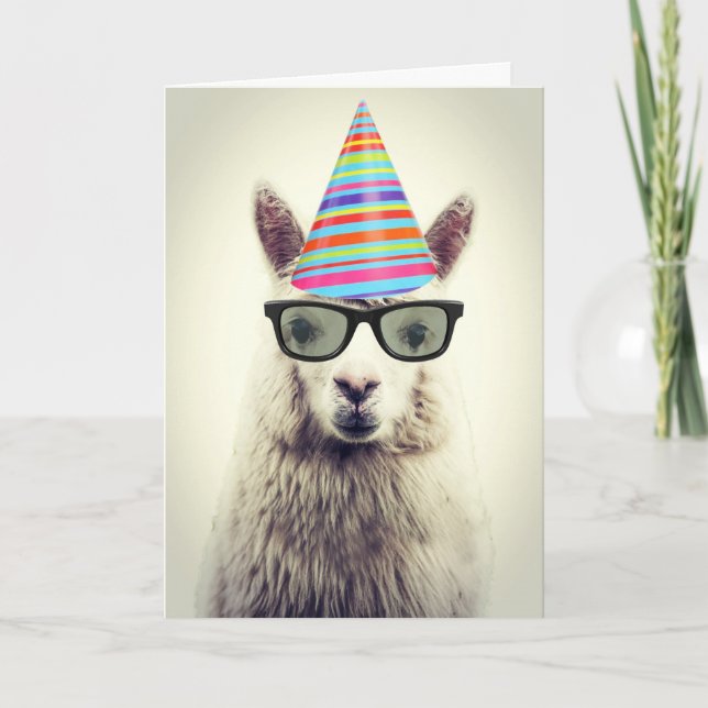 Adorable Alpaca, Geburtstag Karte (Vorderseite)
