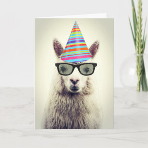 Adorable Alpaca, Geburtstag Karte