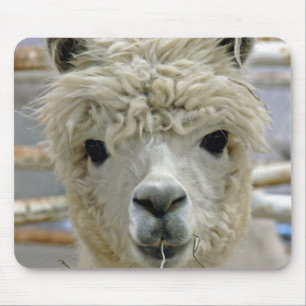 Adorable Alpaca Mousepad